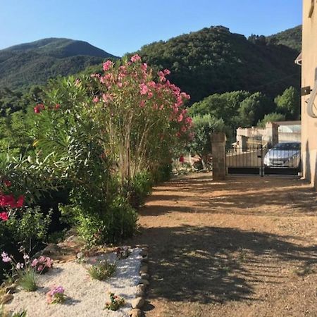 Bel Appartement Type F3 Amélie-les-Bains-Palalda Kültér fotó