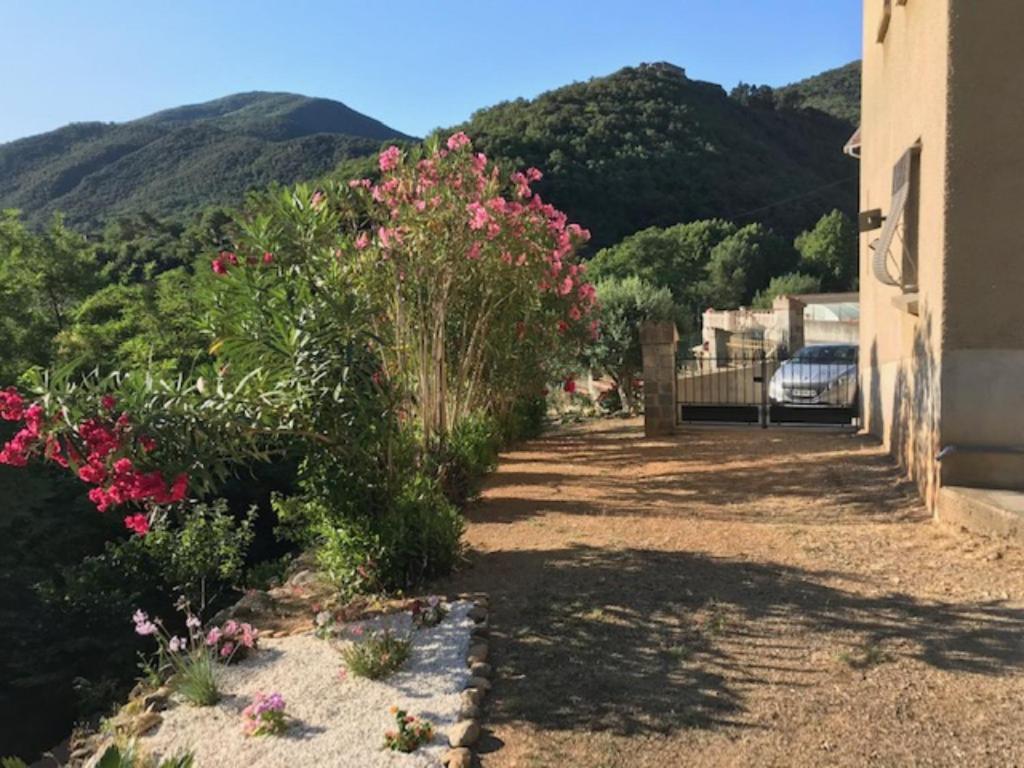 Bel Appartement Type F3 Amélie-les-Bains-Palalda Kültér fotó